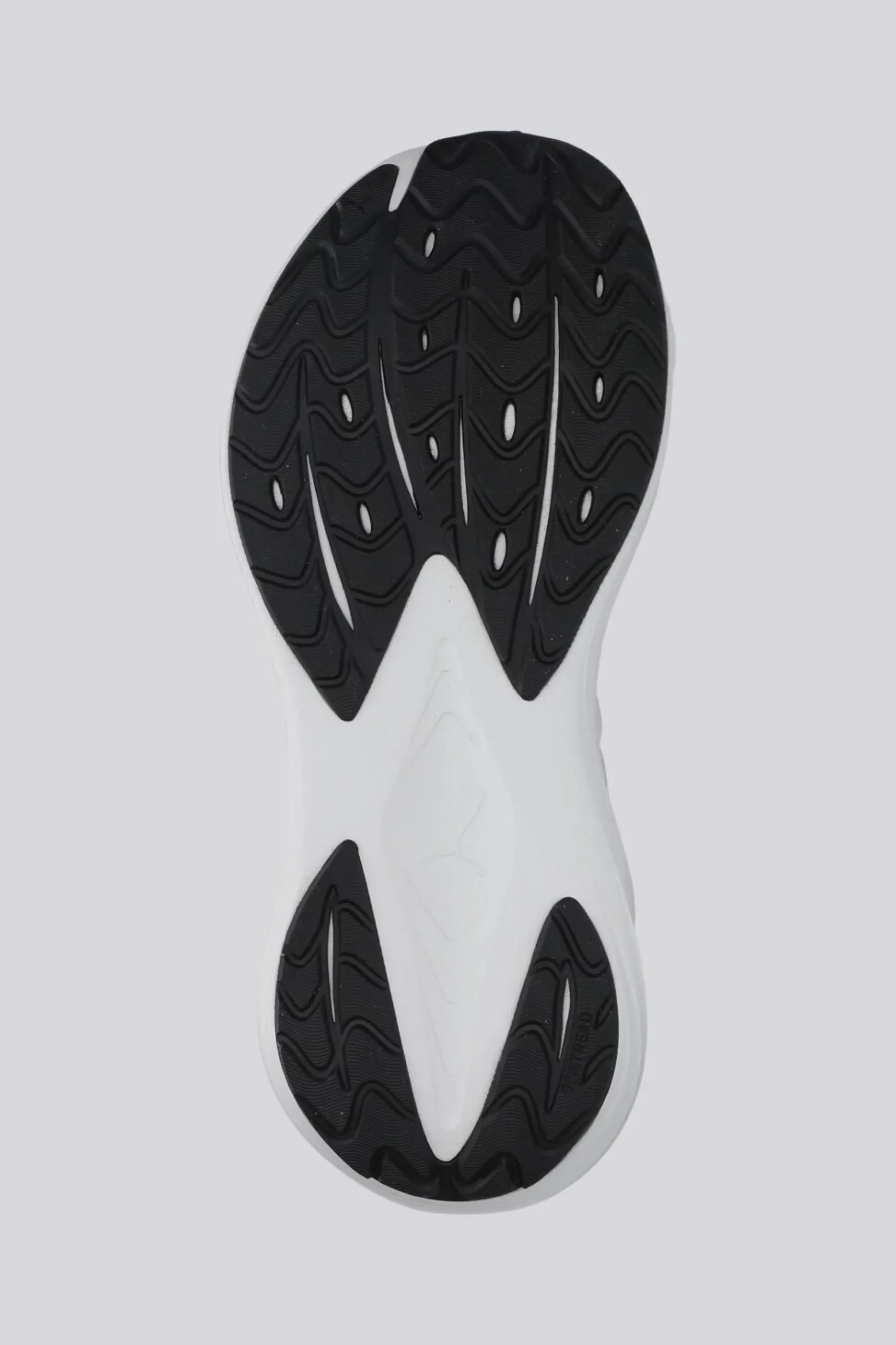 Puma Maxima Pro