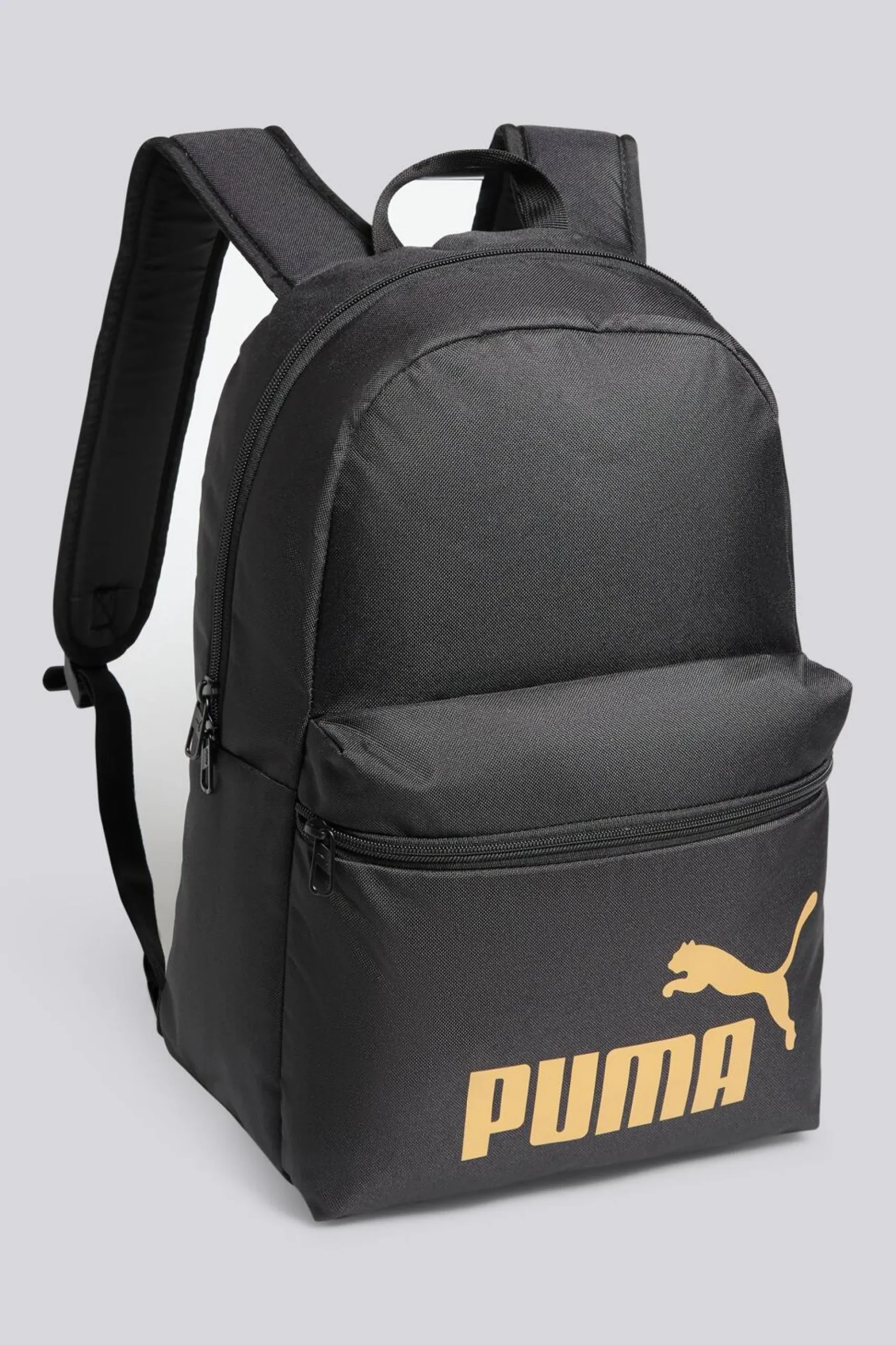 Puma Phase