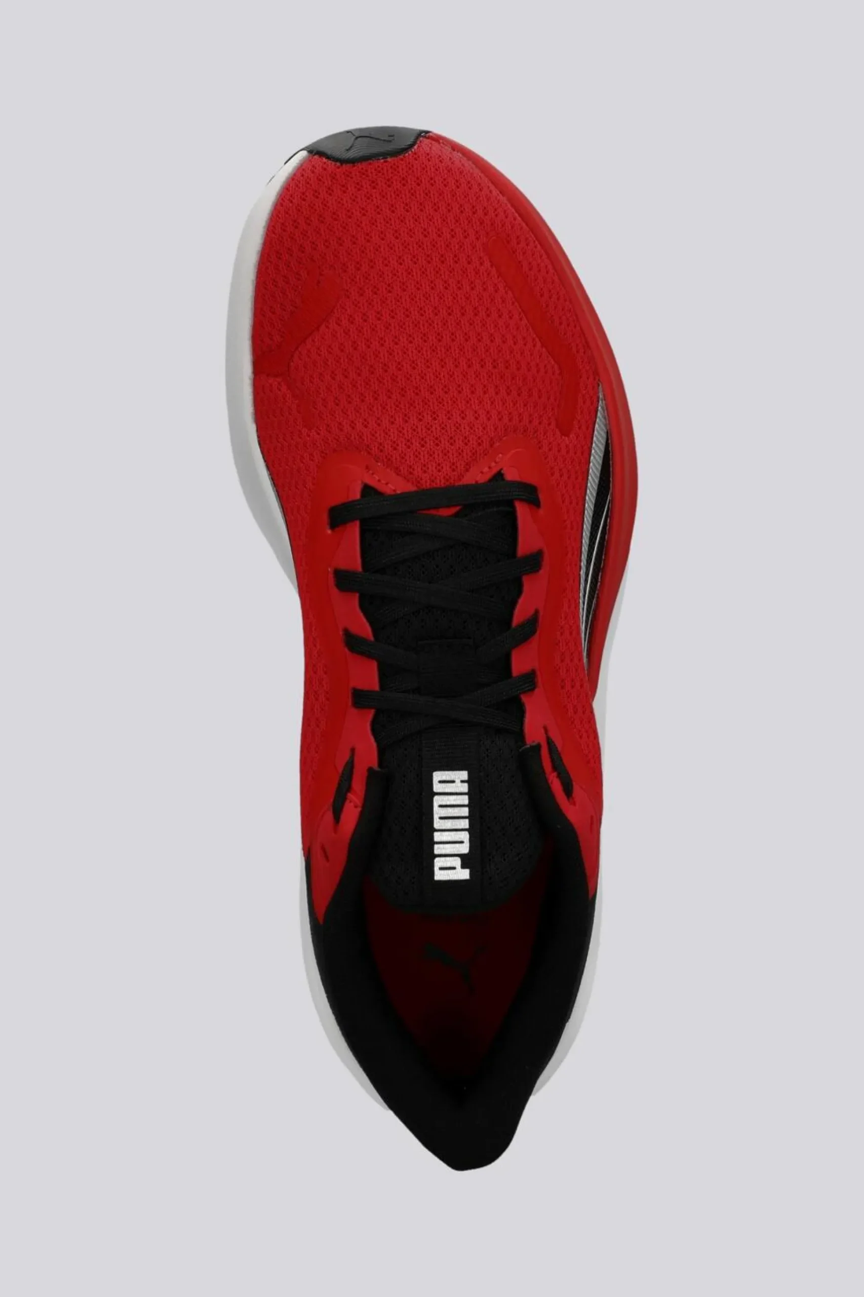 Puma Pounce Lite
