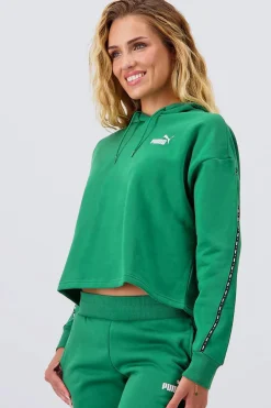 Puma Power