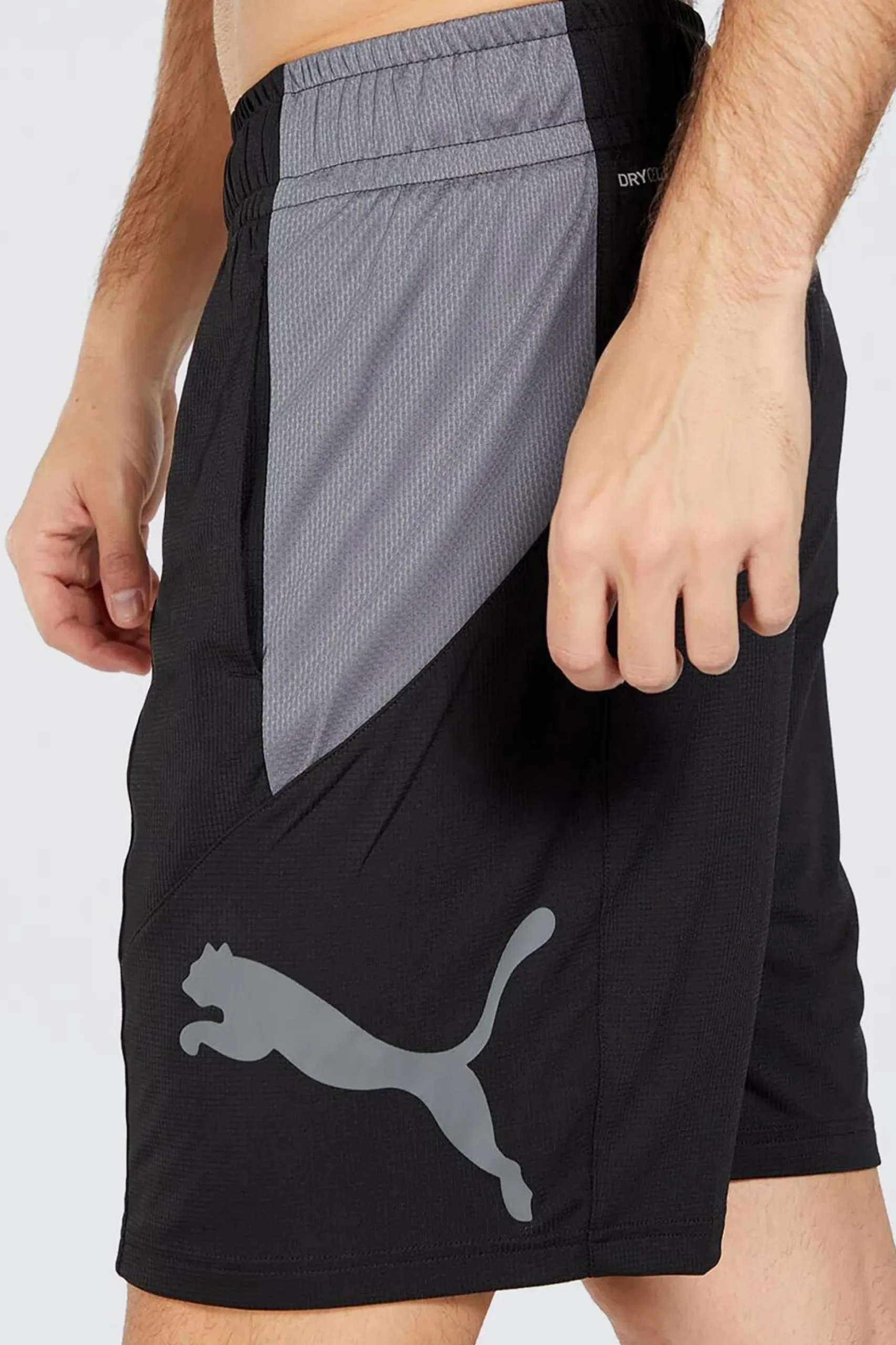 Puma Train