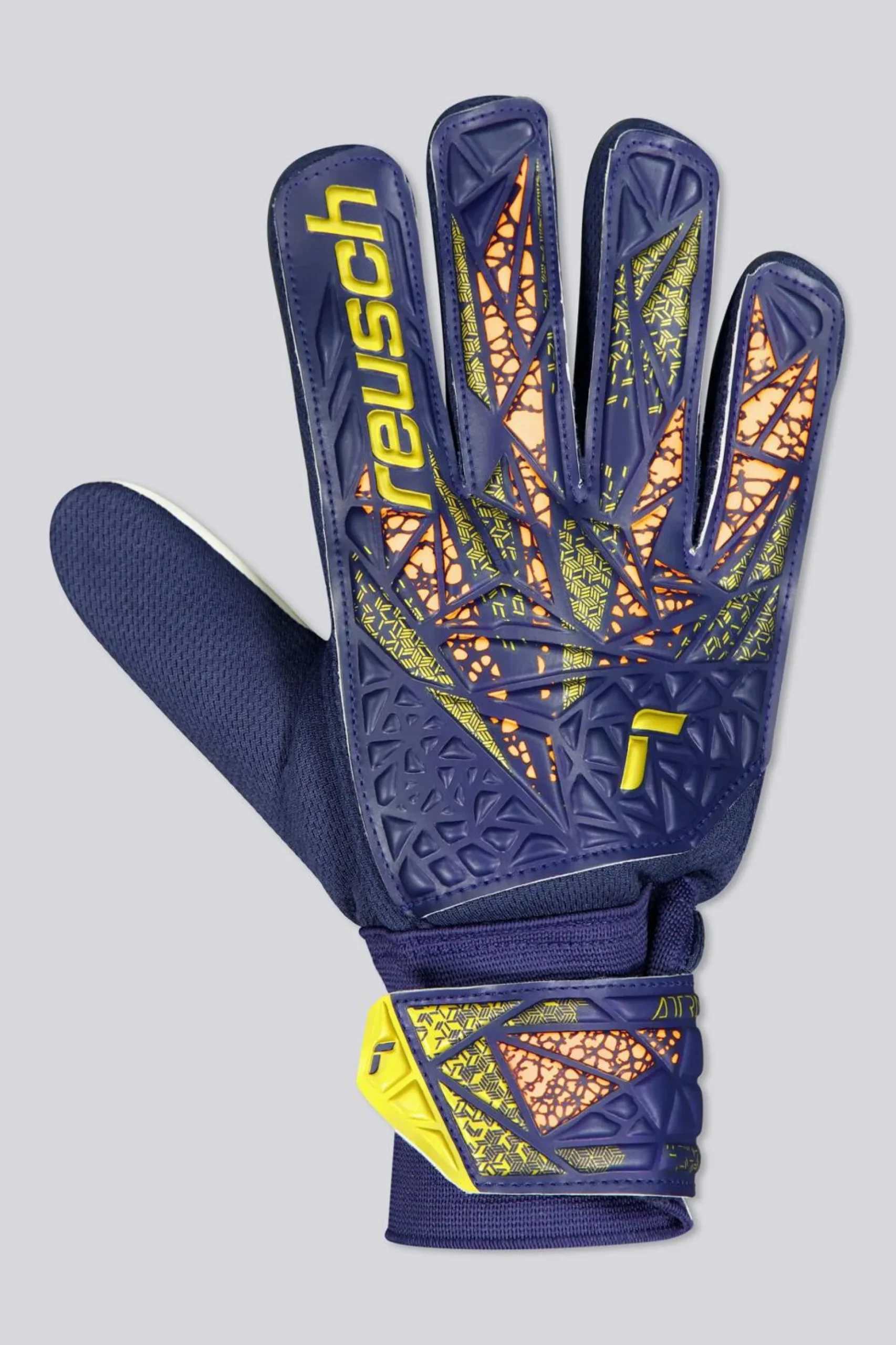 Reusch Attrakt Starter Grip