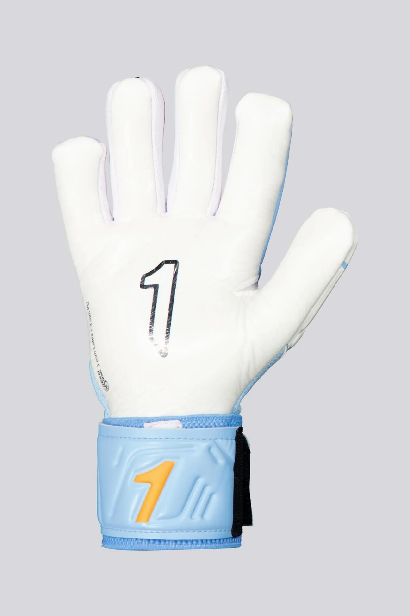 Rinat Egotiko X Training