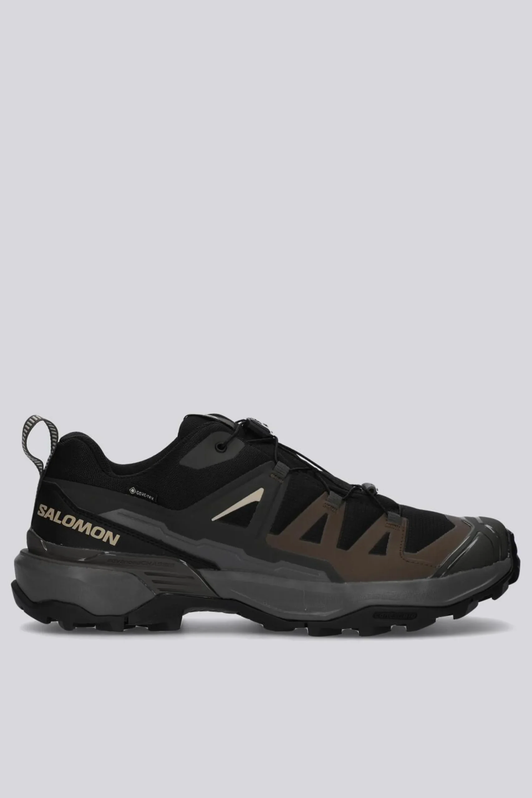 Salomon X Ultra 360 Gtx