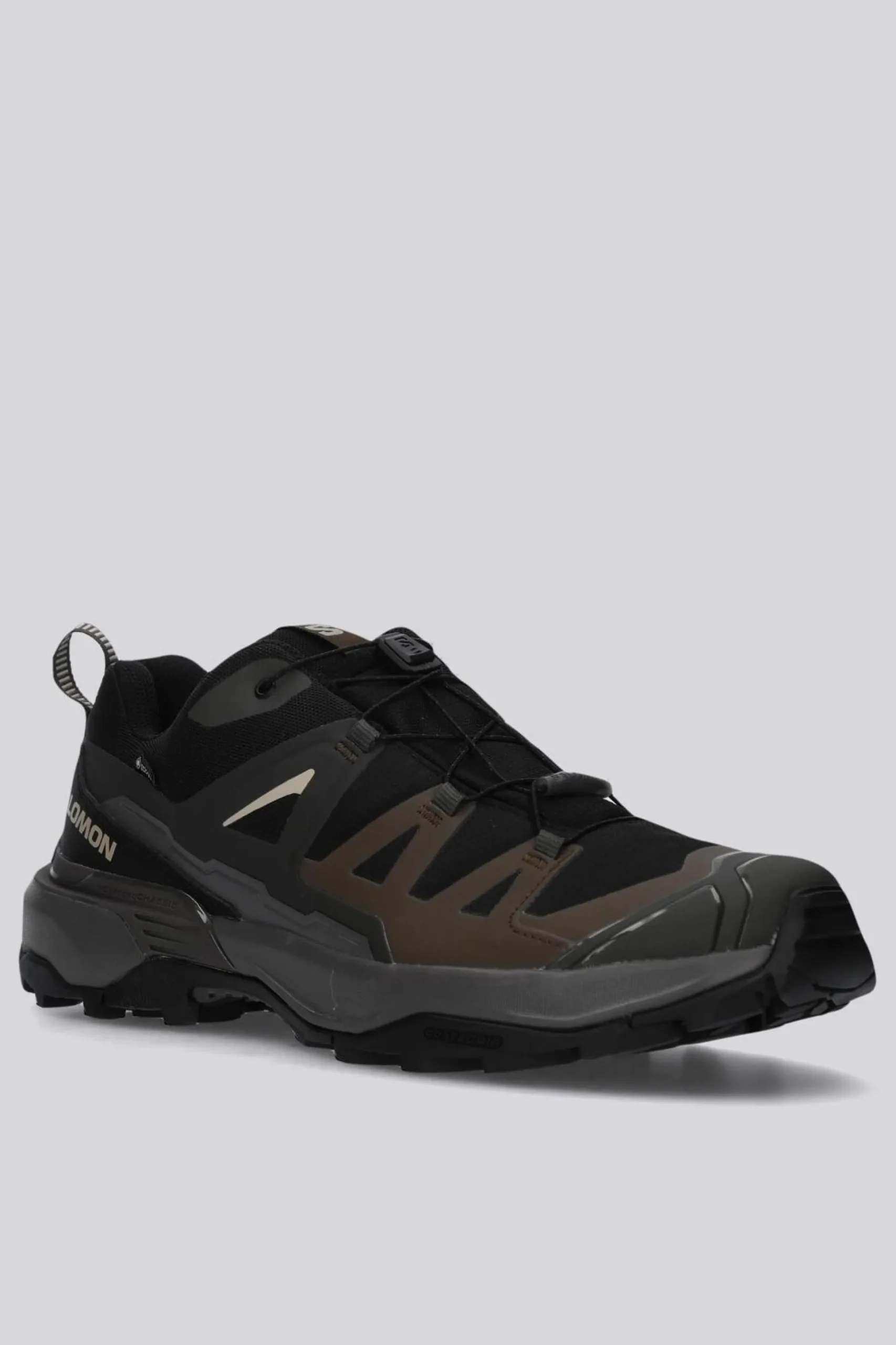 Salomon X Ultra 360 Gtx