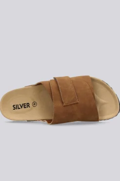 Silver Breeze