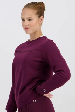 Sudadera Capucha Champion