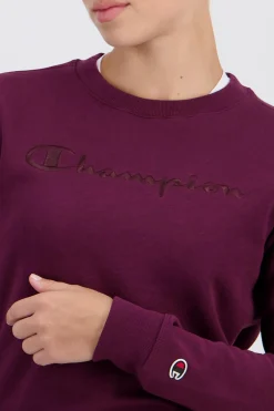 Sudadera Capucha Champion