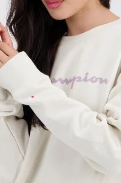 Sudadera Capucha Champion
