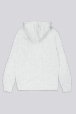 Sudadera Capucha Harvard