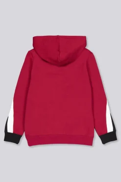 Sudadera Capucha Puma