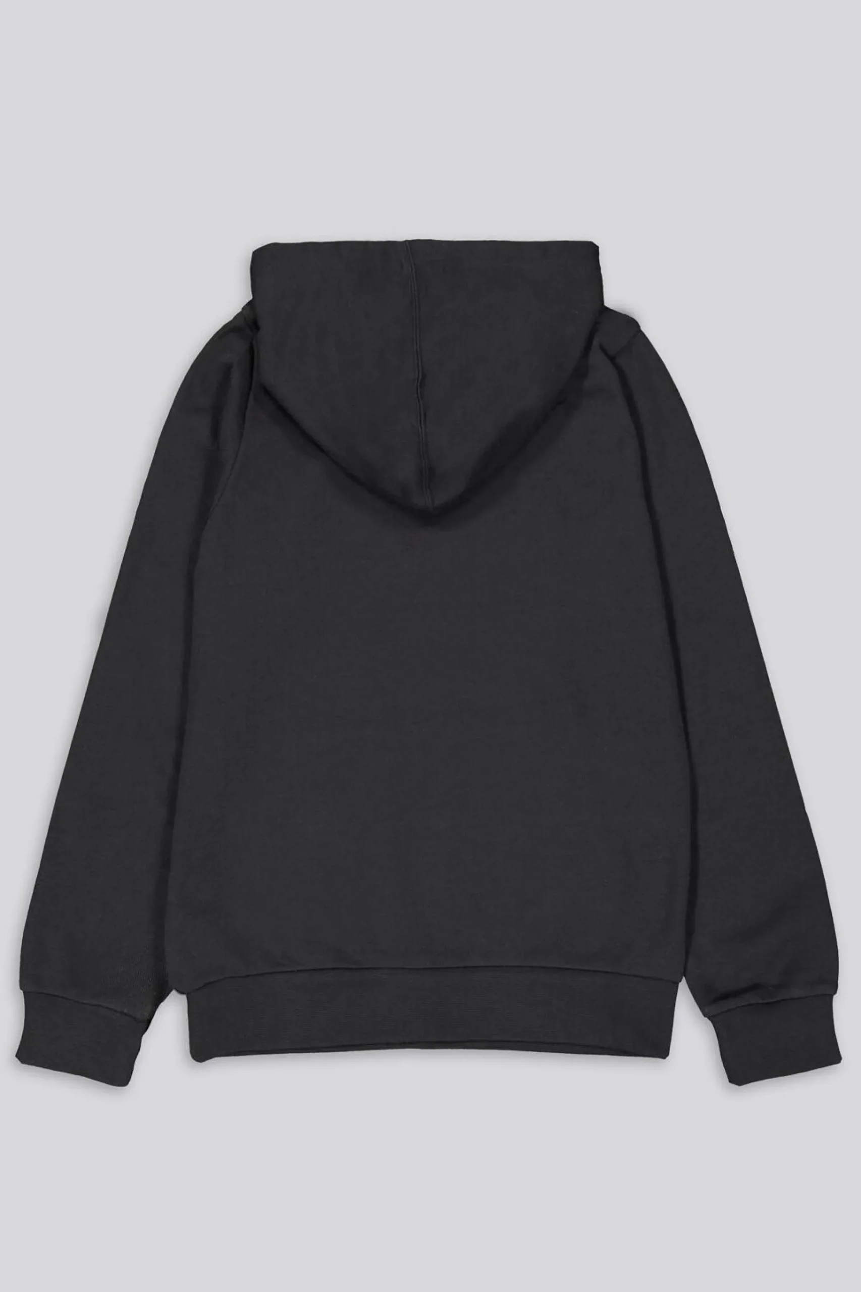 Sudadera Champion