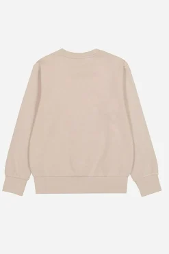 Sudadera champion