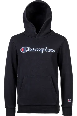 Sudadera Con Capucha Champion