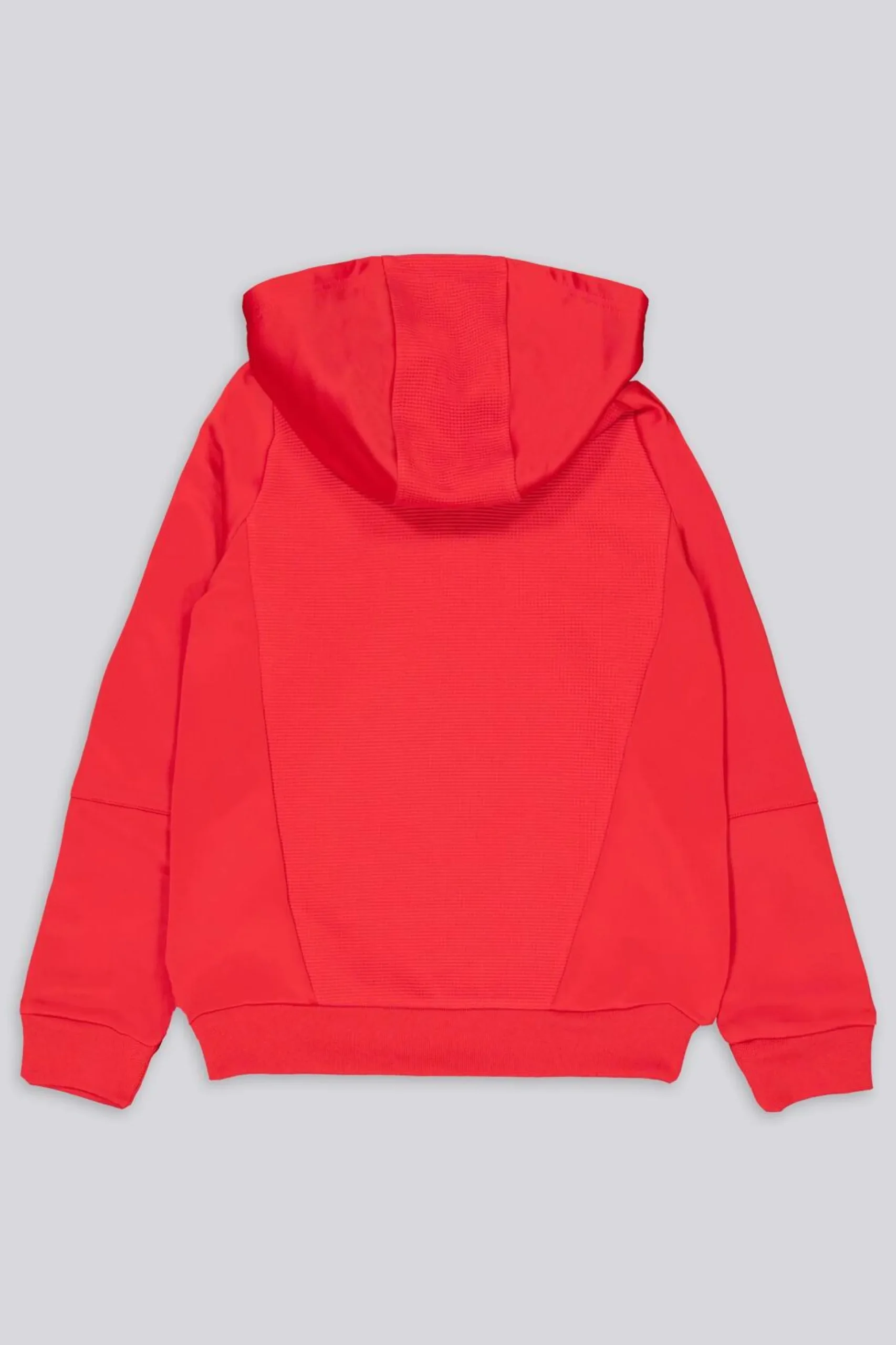 Sudadera Sl Benfica Entreno 24/25