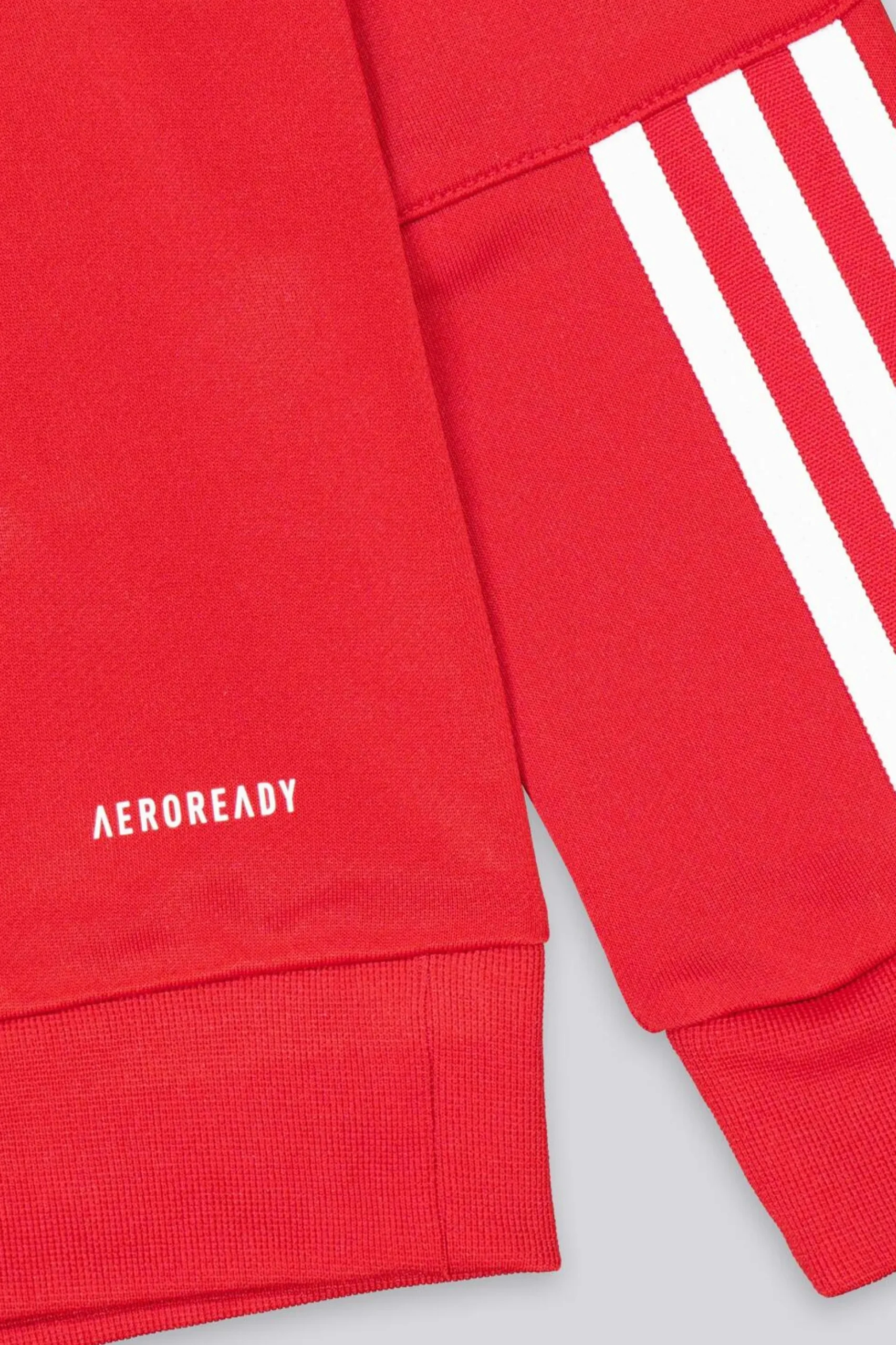Sudadera Sl Benfica Entreno 24/25
