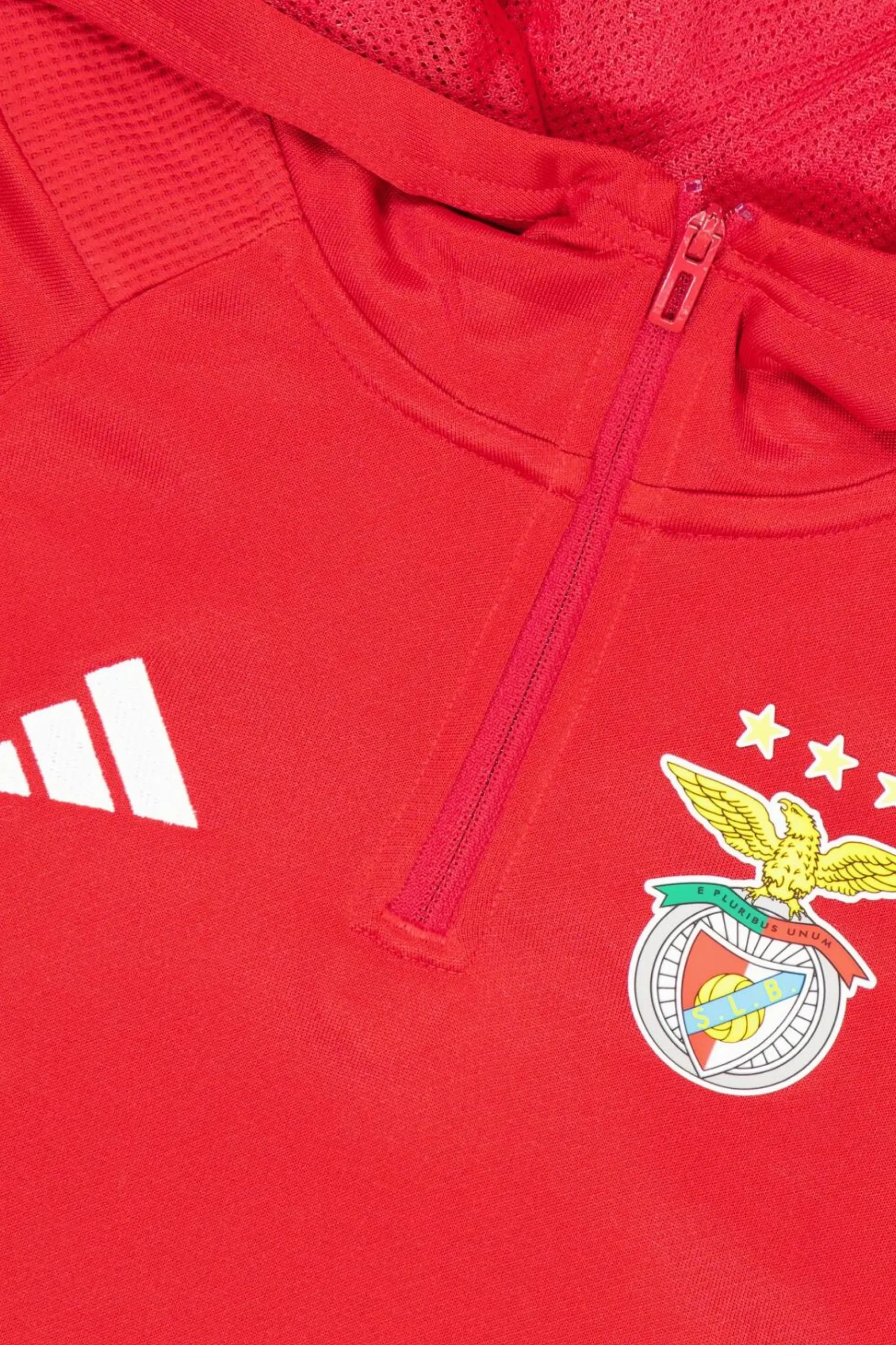 Sudadera Sl Benfica Entreno 24/25