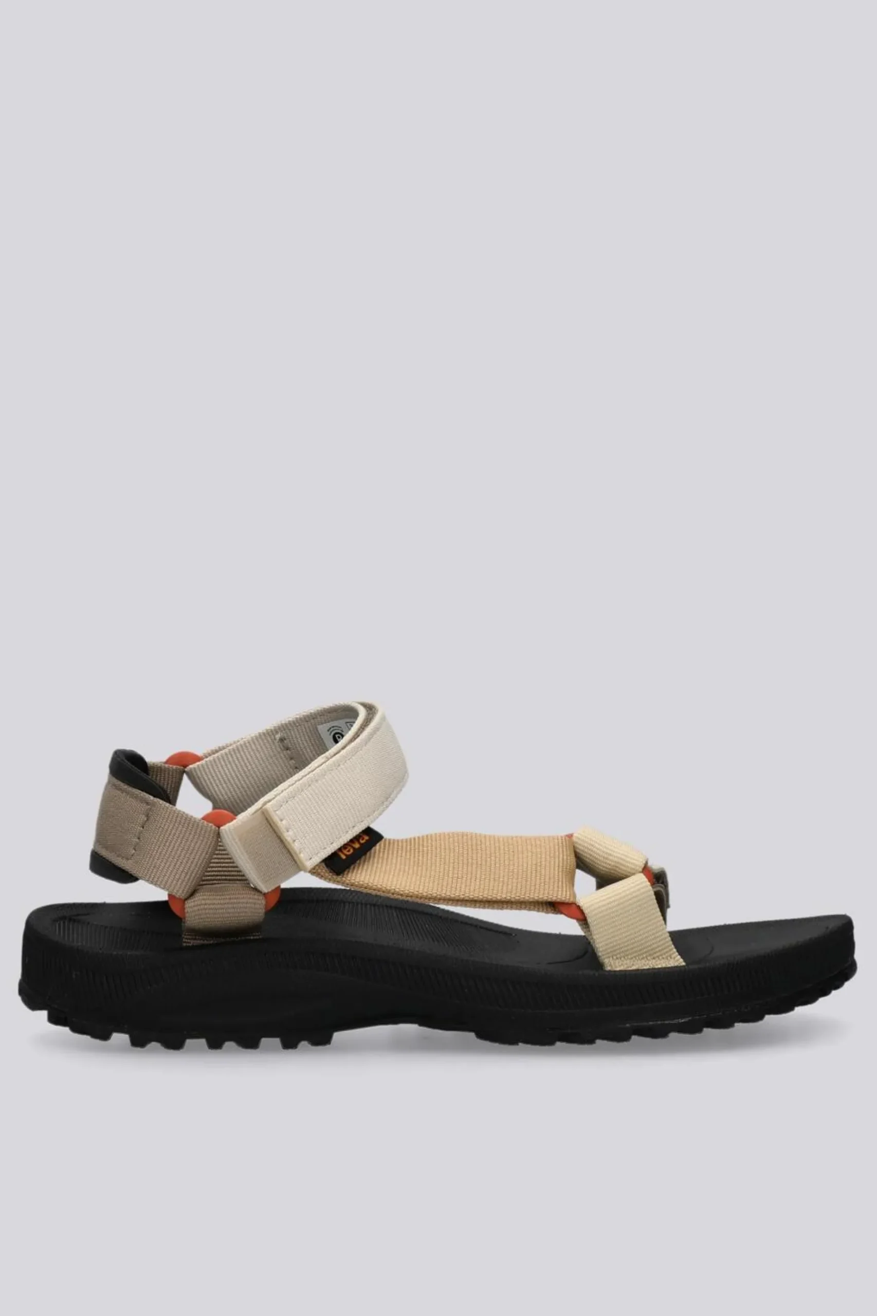 Teva Windsted