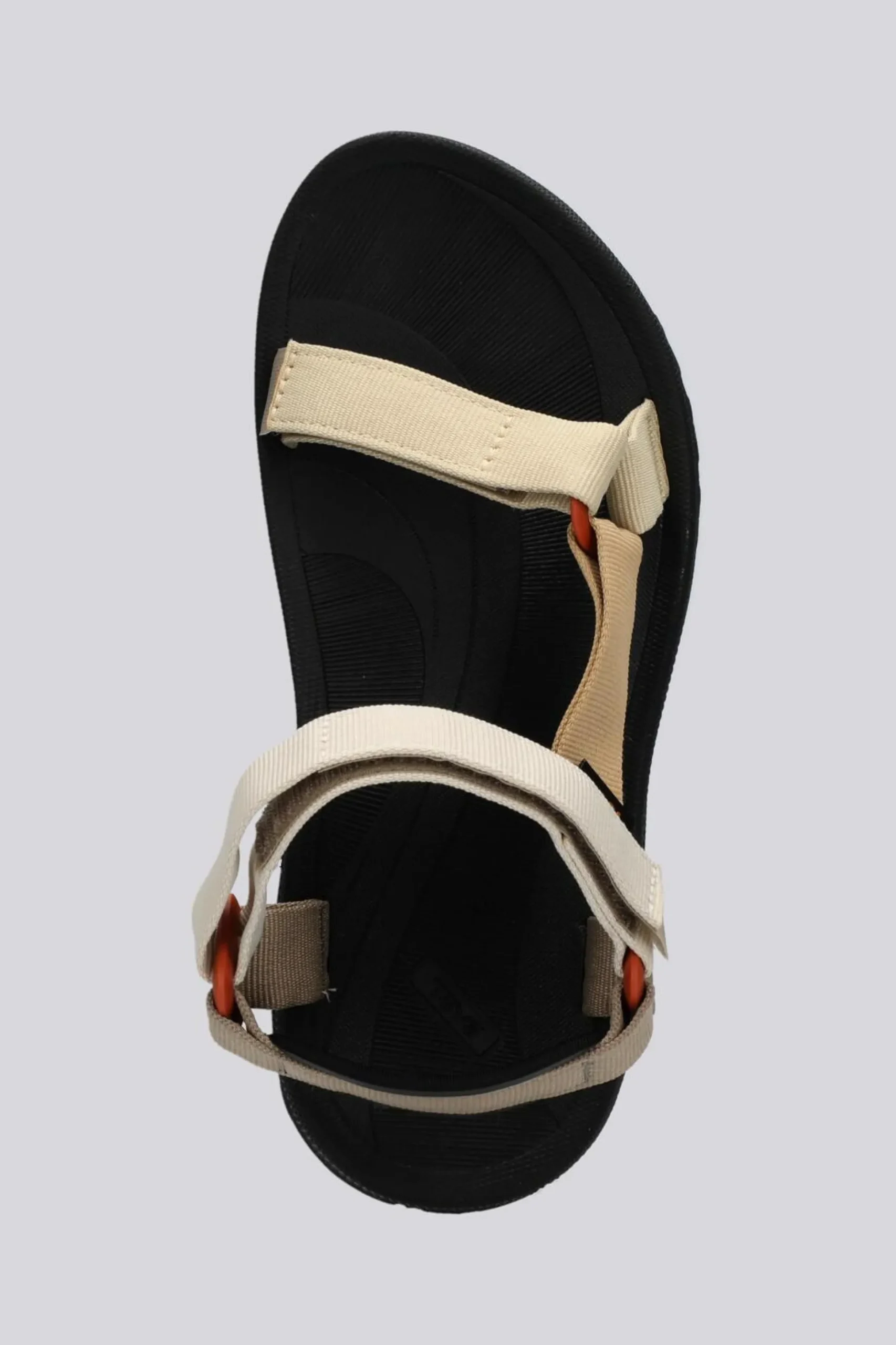 Teva Windsted
