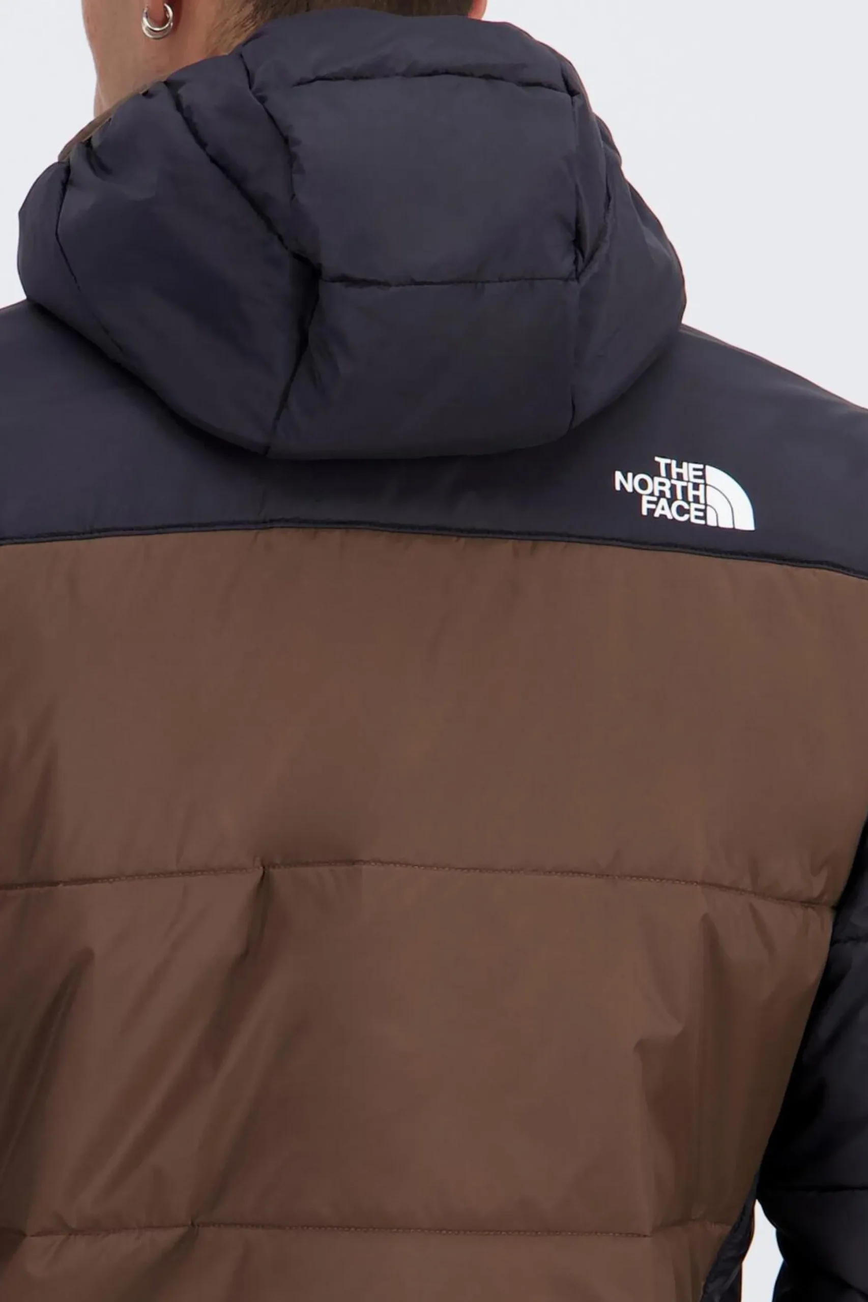 The North Face Quest